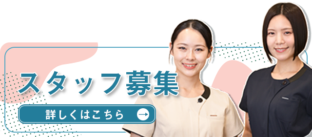 スタッフ募集